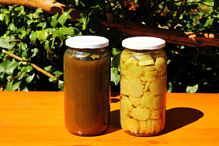 Frutas de temporada